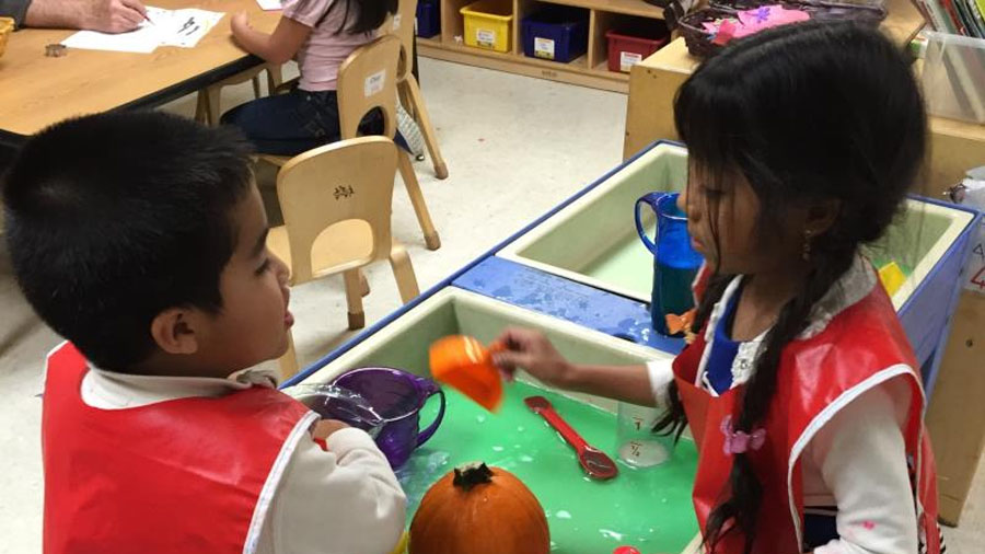 Two children playing with a pumpkin in the water table.